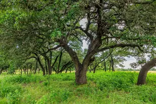 1670 Fm 2093, Fredericksburg, TX 78624 - Photo 77