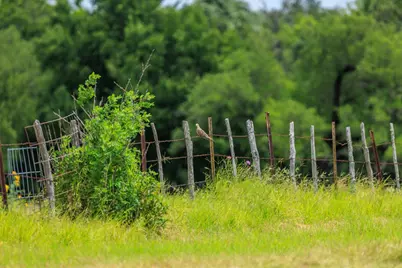 1670 Fm 2093, Fredericksburg, TX 78624 - Photo 51