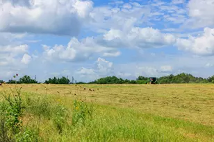 1670 Fm 2093, Fredericksburg, TX 78624 - Photo 41