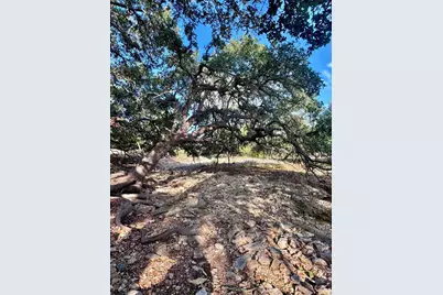 3498 Grape Creek Rd, Fredericksburg, TX 78624 - Photo 19