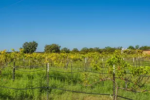 10207 US Hwy 290, Fredericksburg, TX 78624 - Photo 21