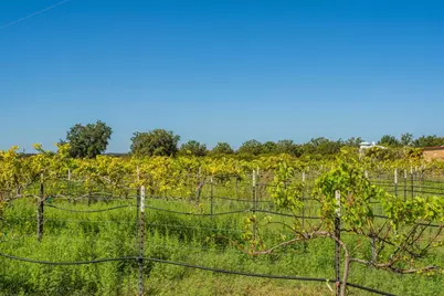 10207 US Hwy 290, Fredericksburg, TX 78624 - Photo 21