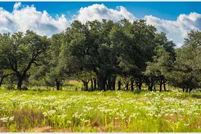 5541 W US Hwy 290, Johnson City, TX 78636 - Photo 19