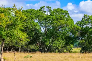 2873 Ranch Rd 1888, Fredericksburg, TX 78624 - Photo 45