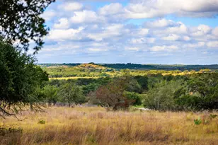 2873 Ranch Rd 1888, Fredericksburg, TX 78624 - Photo 3