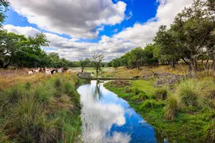 2873 Ranch Rd 1888, Fredericksburg, TX 78624 - Photo 47