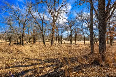 415 Mystic Oaks Trail, Fredericksburg, TX 78624 - Photo 41