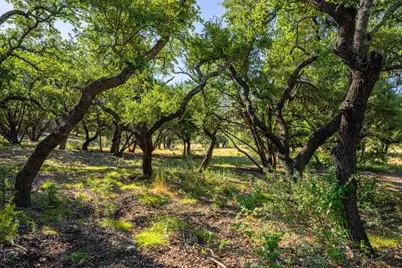 5579 Schneider-Moellering Rd, Fredericksburg, TX 78624 - Photo 9