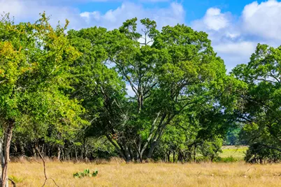 2873 Ranch Rd 1888, Fredericksburg, TX 78624 - Photo 45