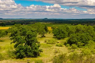 3145 N Grape Creek Rd, Fredericksburg, TX 78624 - Photo 11