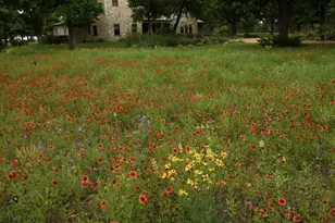 327 S Stag Trail, Fredericksburg, TX 78624 - Photo 43