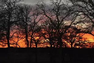 327 S Stag Trail, Fredericksburg, TX 78624 - Photo 49