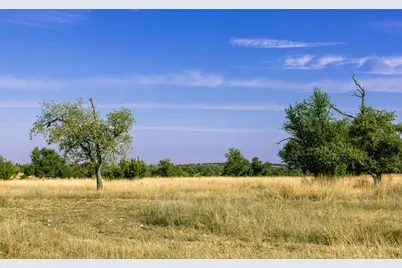 100 N Gretchen Grove Ln, Fredericksburg, TX 78624 - Photo 11