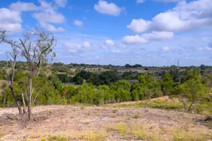 725 Lonesome Loop, Blanco, TX 78606 - Photo 41