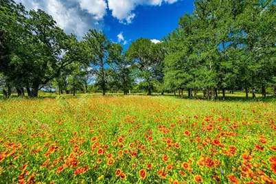 11290 E US Hwy 290, Fredericksburg, TX 78624 - Photo 11