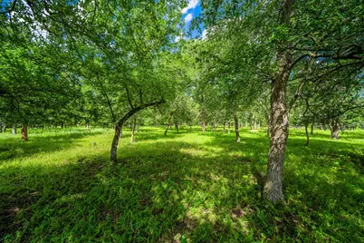 11290 E US Hwy 290, Fredericksburg, TX 78624 - Photo 27