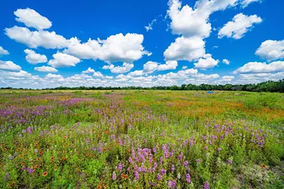 11290 E US Hwy 290, Fredericksburg, TX 78624 - Photo 39