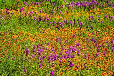 11290 E US Hwy 290, Fredericksburg, TX 78624 - Photo 41