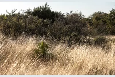 Lot 40 W Ranch Rd 962, Round Mountain, TX 78663 - Photo 3