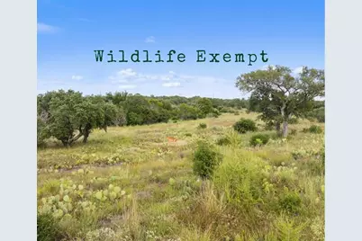 Lot 40 W Ranch Rd 962, Round Mountain, TX 78663 - Photo 1