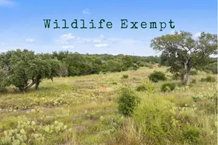 Lot 40 W Ranch Rd 962, Round Mountain, TX 78663 - Photo 1