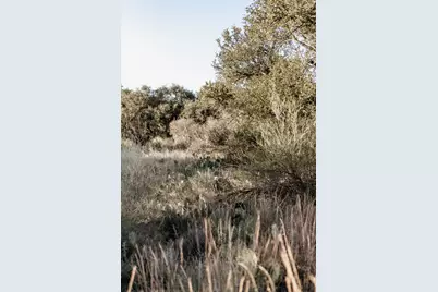 Lot 40 W Ranch Rd 962, Round Mountain, TX 78663 - Photo 9