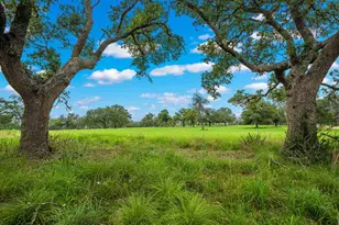 183 Teton Ln, Fredericksburg, TX 78624 - Photo 61