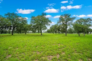 183 Teton Ln, Fredericksburg, TX 78624 - Photo 53