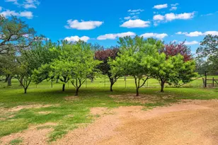 183 Teton Ln, Fredericksburg, TX 78624 - Photo 35