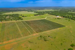 11446 N State Hwy 16, Fredericksburg, TX 78624 - Photo 13