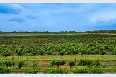 11446 N State Hwy 16, Fredericksburg, TX 78624 - Photo 7