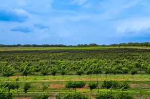 11446 N State Hwy 16, Fredericksburg, TX 78624 - Photo 7