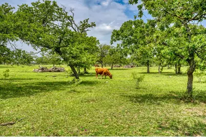 11446 N State Hwy 16, Fredericksburg, TX 78624 - Photo 21