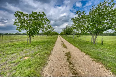 11446 N State Hwy 16, Fredericksburg, TX 78624 - Photo 3