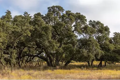 Lot 1 Legacy Hills Dr, Johnson City, TX 78636 - Photo 3