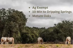 Lot 1 Legacy Hills Dr, Johnson City, TX 78636 - Photo 1