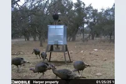 Tract 7 Stevens Ranch Rd, Harper, TX 78631 - Photo 29