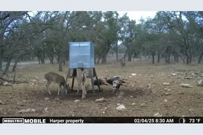 Tract 7 Stevens Ranch Rd, Harper, TX 78631 - Photo 27