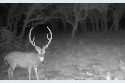 Tract 7 Stevens Ranch Rd, Harper, TX 78631 - Photo 31