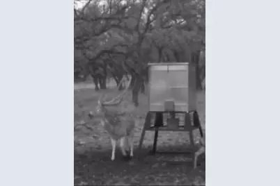 Tract 7 Stevens Ranch Rd, Harper, TX 78631 - Photo 25