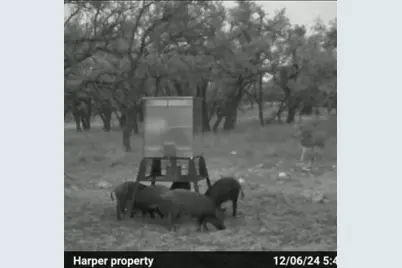 Tract 7 Stevens Ranch Rd, Harper, TX 78631 - Photo 23