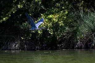 184 Marymeade, Hunt, TX 78024 - Photo 41