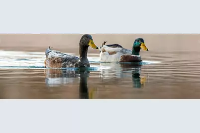 409 E Main St, Llano, TX 78643 - Photo 5