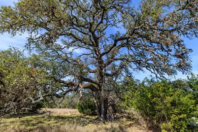 203 Rheingold School Rd, Fredericksburg, TX 78624 - Photo 23