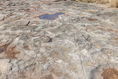 203 Rheingold School Rd, Fredericksburg, TX 78624 - Photo 13