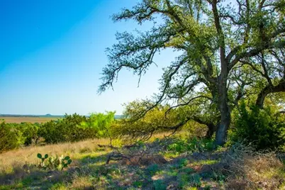 203 Rheingold School Rd, Fredericksburg, TX 78624 - Photo 43