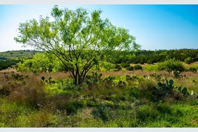 203 Rheingold School Rd, Fredericksburg, TX 78624 - Photo 47