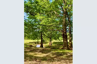 646 Victor Eckhardt Rd, Fredericksburg, TX 78624 - Photo 9