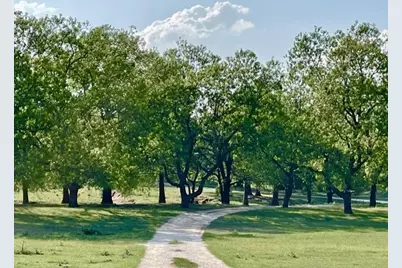 646 Victor Eckhardt Rd, Fredericksburg, TX 78624 - Photo 11