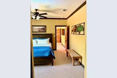 646 Victor Eckhardt Rd, Fredericksburg, TX 78624 - Photo 31